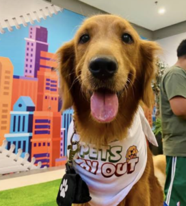 Pet Meet & Greet in the Park — Login to view